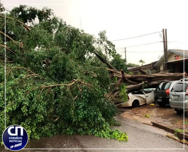 Vendaval teve característica de tornado em Cascavel, diz município