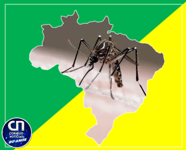 Brasil atinge 1 milhão de casos de dengue, com 214 óbitos já registrados