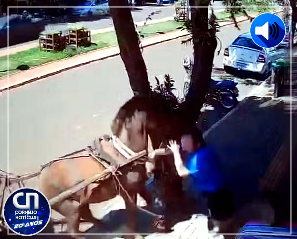 Vereador é atacado por cavalo em cidade do interior do Paraná