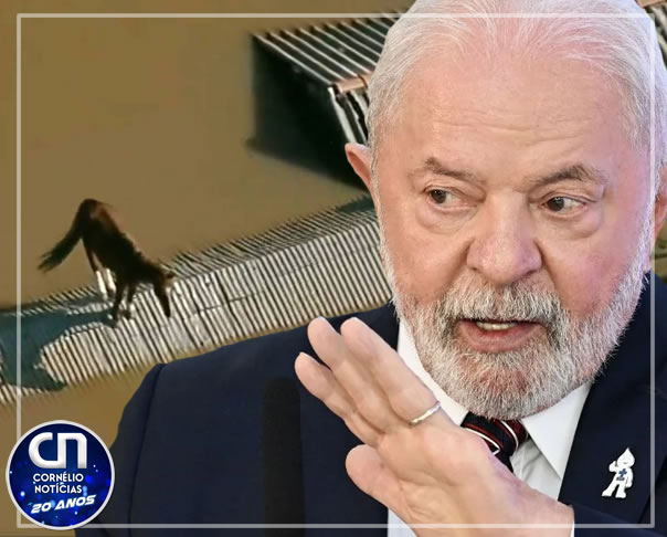 Estado pede ajuda, Uruguai oferece, mas governo Lula dispensa