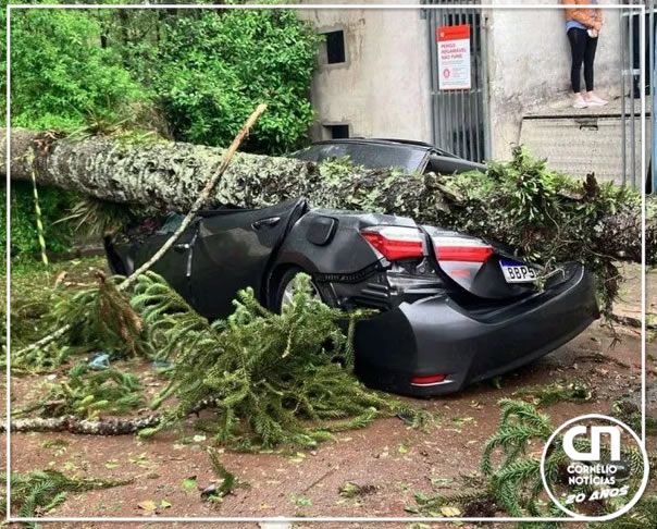 Árvore cai sobre carro durante temporal e mata homem de 40 anos no PR