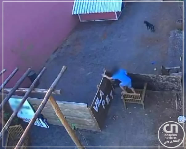 Criança confessa a morte de 23 animais em mini-fazenda de Nova Fátima