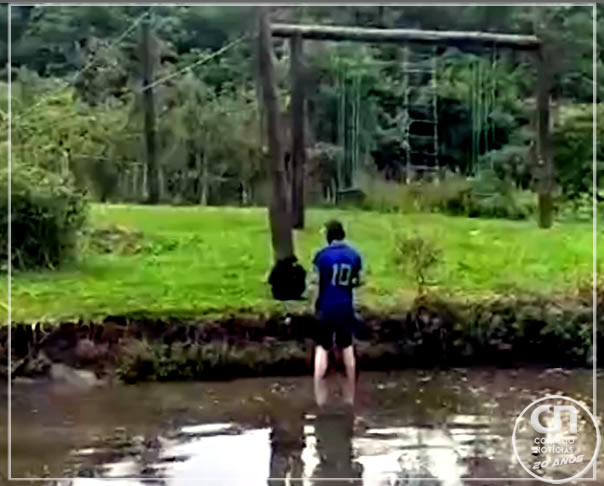 Homem é detido após invadir espaços de animais no Zoológico de Curitiba