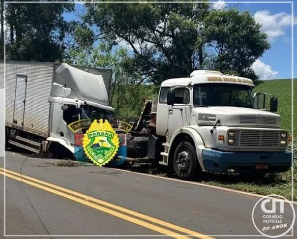 Motorista morre após colidir caminhão em árvore em Cornélio Procópio