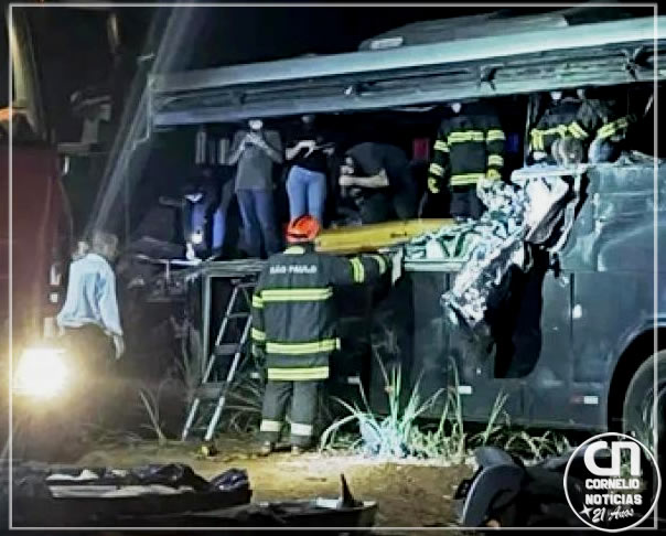 Acidente com ônibus universitário deixa ao menos 12 mortos