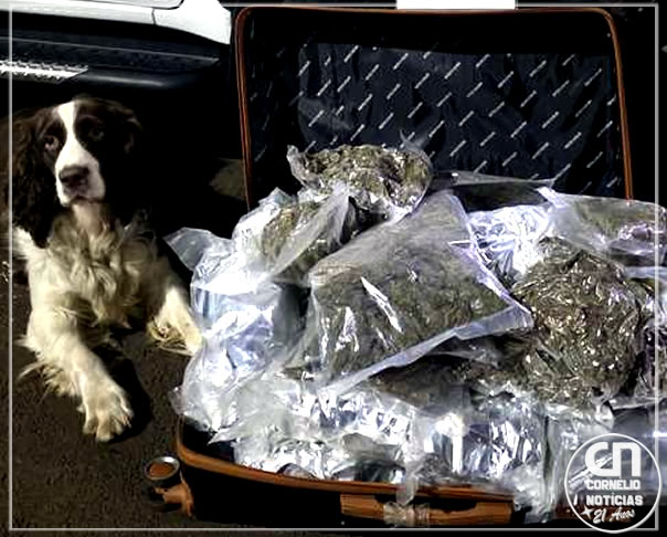 Argentino é preso com 18 kg de skunk em Bandeirantes
