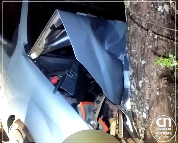 Mulher morre após carro colidir contra árvore em Nova Fátima