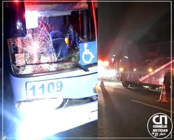 Homem morre atropelado por ônibus ao tentar salvar filha em rodovia do Paraná