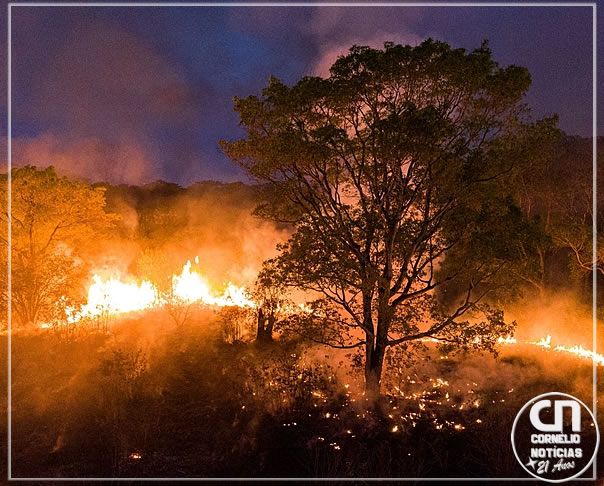Atear fogo em terrenos responde por mais de 30% dos incêndios no PR