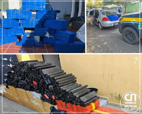 PRF e PRE realizam três grandes apreensões de drogas no Norte do Paraná