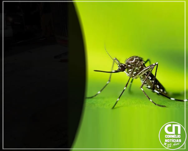 Cornélio Procópio registra primeiro óbito por dengue no Paraná em 2026