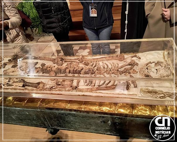 Itália exibe pela primeira vez restos mortais de São Francisco