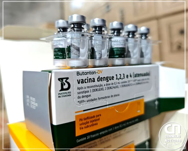 Paraná inicia entrega de vacinas contra dengue