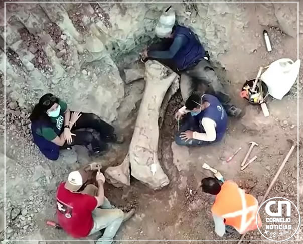 Fêmur de dinossauro gigante é descoberto no Brasil