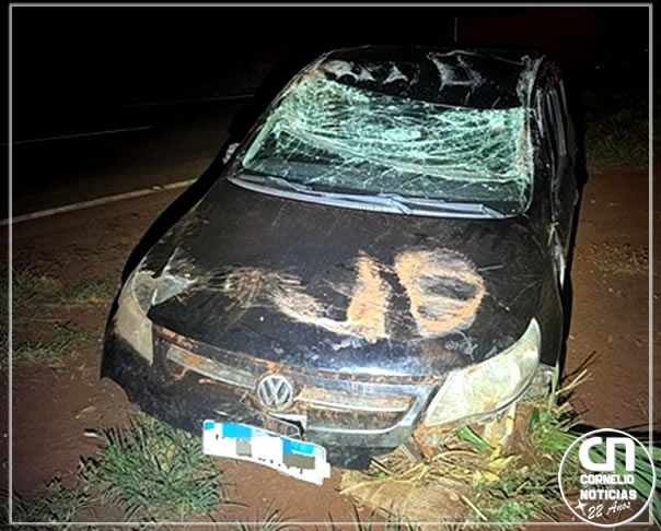 Capotamento deixa duas pessoas feridas na PR-092, em Andirá