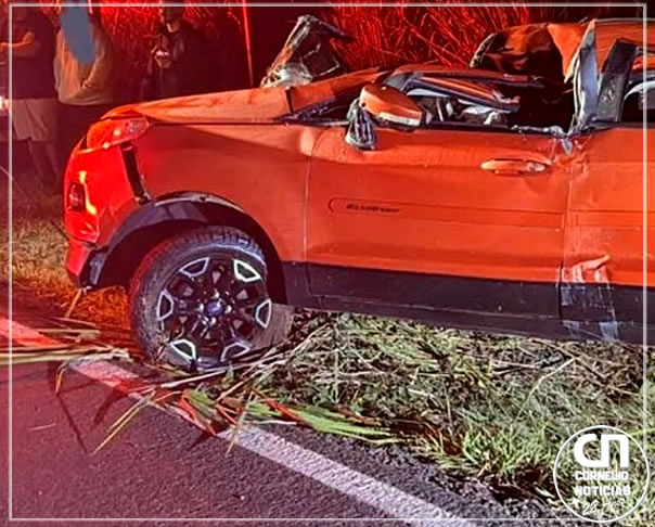 Porco do mato provoca acidente com morte em rodovia do Norte Pioneiro