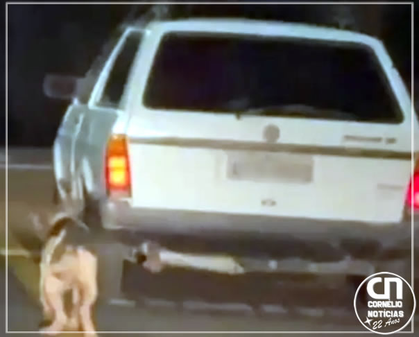 Polícia prende homem flagrado arrastando cachorro por corda no Paraná