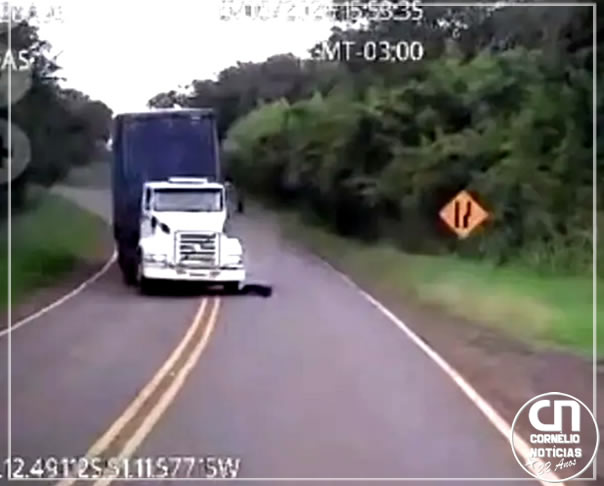 Vídeo mostra colisão frontal entre caminhões que vitimou quatro pessoas