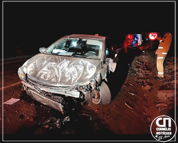 Morador de Bandeirantes morre em rodovia entre Cambará e Jacarezinho