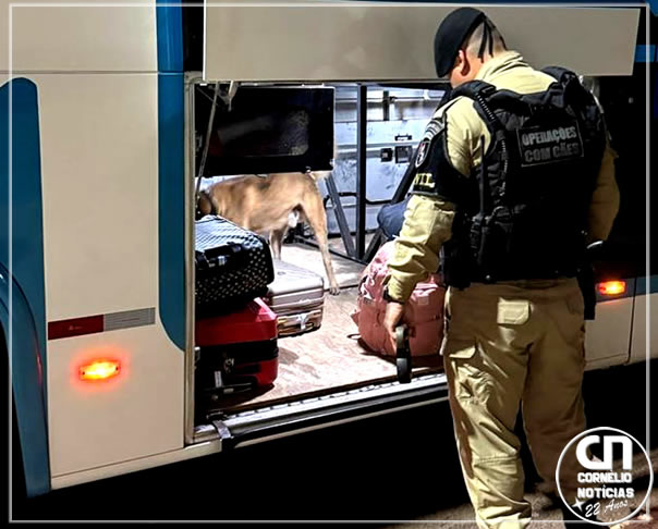 PM aprende aparelhos eletrônicos em ônibus na BR-369