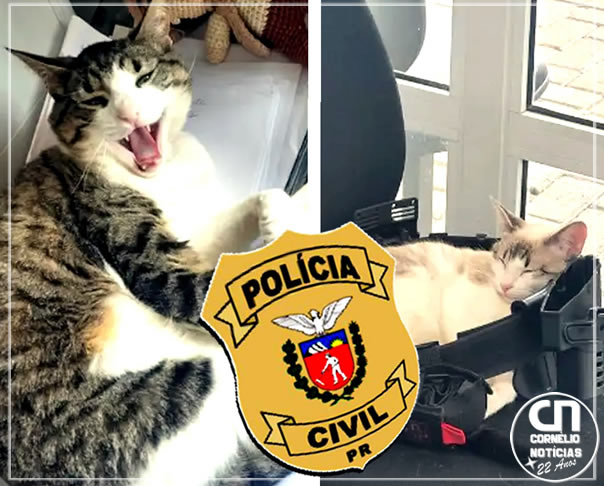 Polícia Civil adota pets que atuam como apoio emocional em delegacia no Paraná