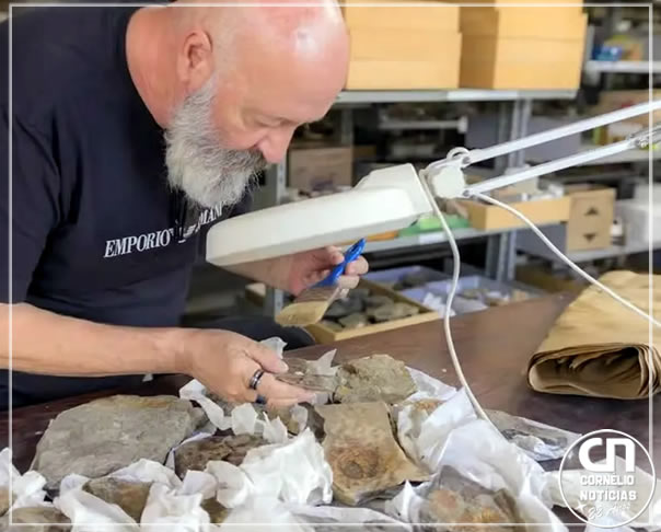 Mais antiga que os dinossauros, nova espécie de animal é descoberta nos Campos Gerais