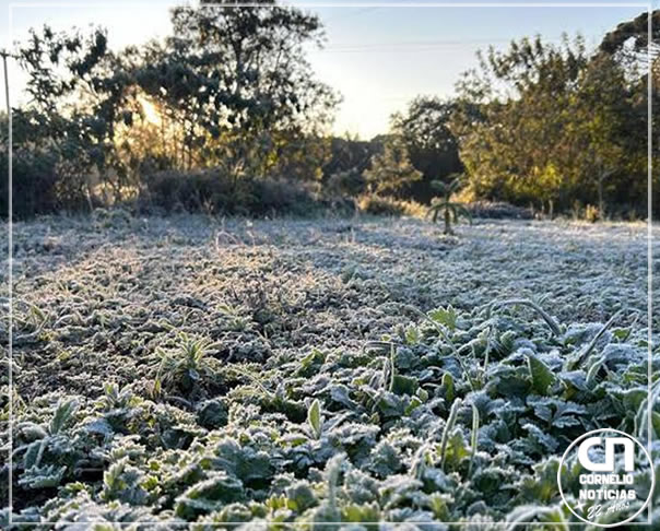 Paraná amanhece com geada e temperaturas negativas em diversas regiões
