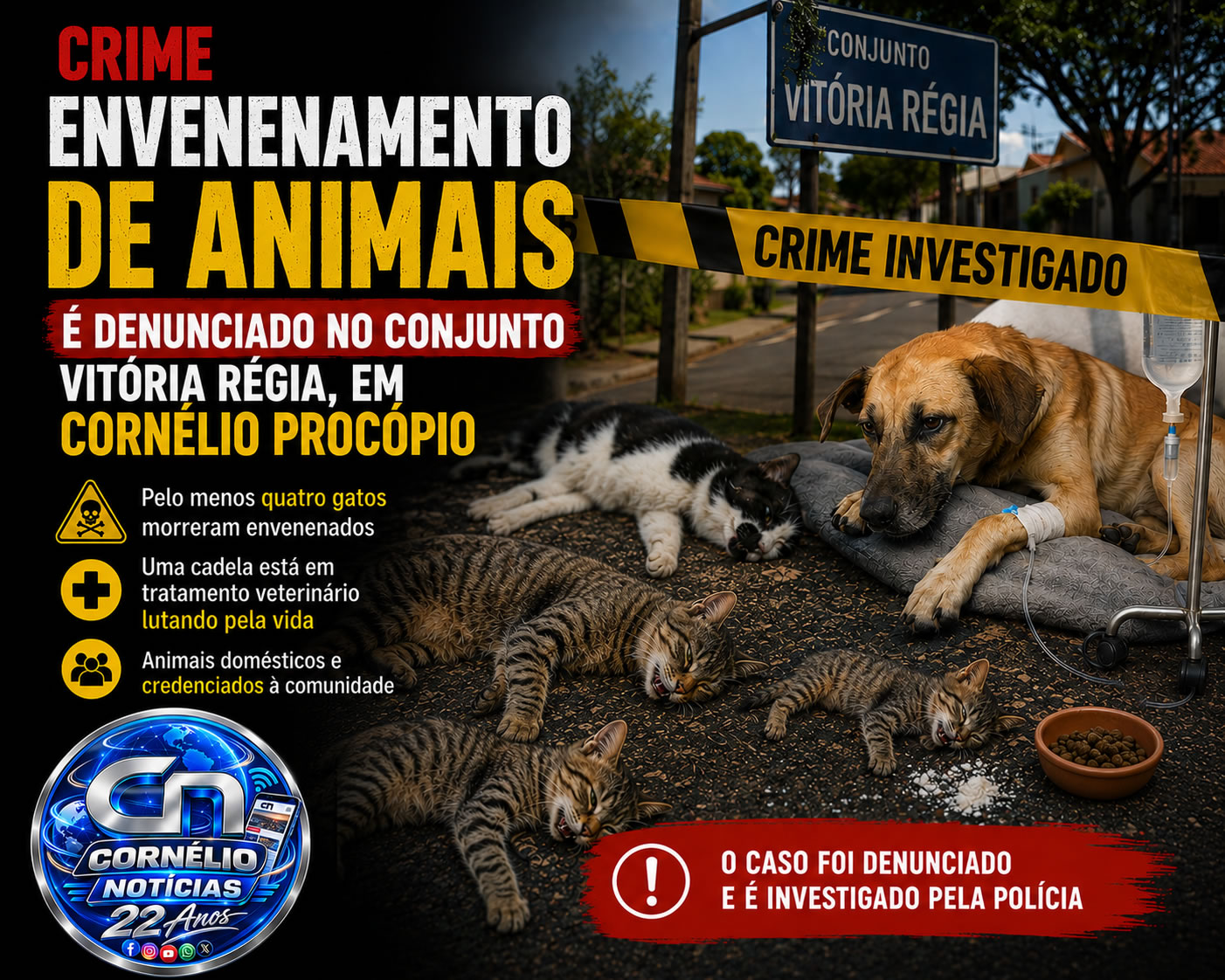 Envenenamento de animais é denunciado no Vitória Régia, em Cornélio Procópio