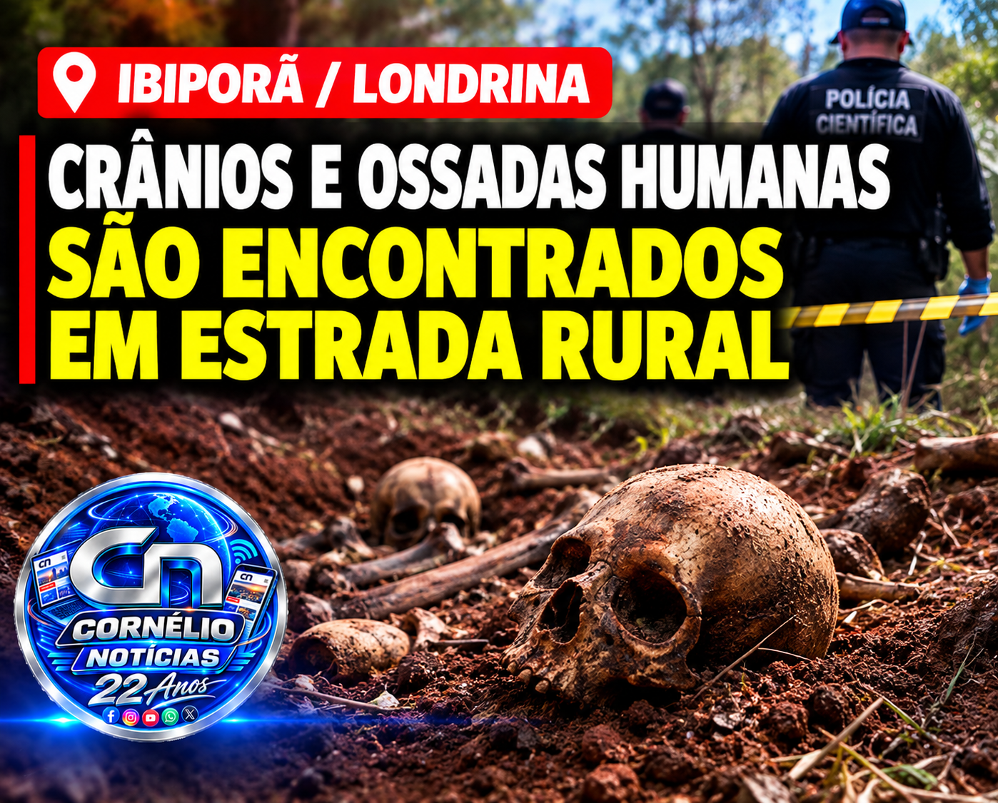 Crânios e ossadas humanas são encontrados em estrada rural na região