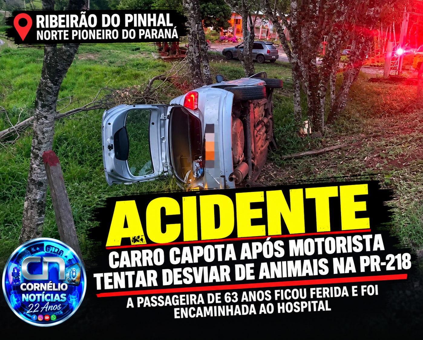 Carro capota após motorista tentar desviar de animais na PR-218