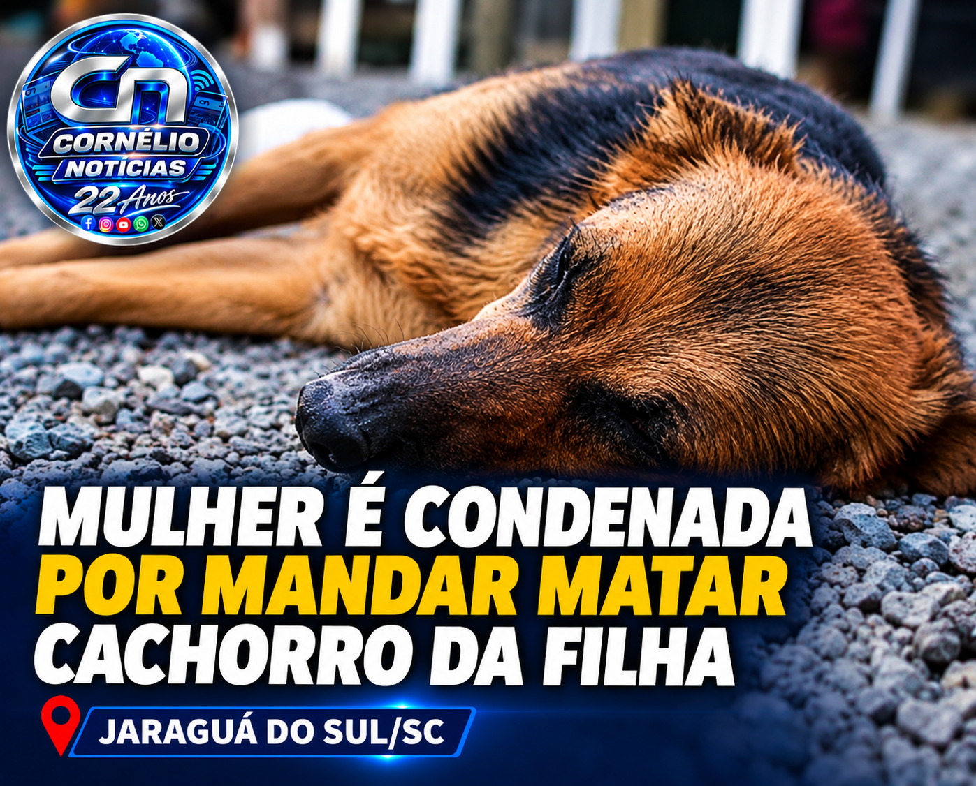 Mulher é condenada por mandar matar cachorro da filha