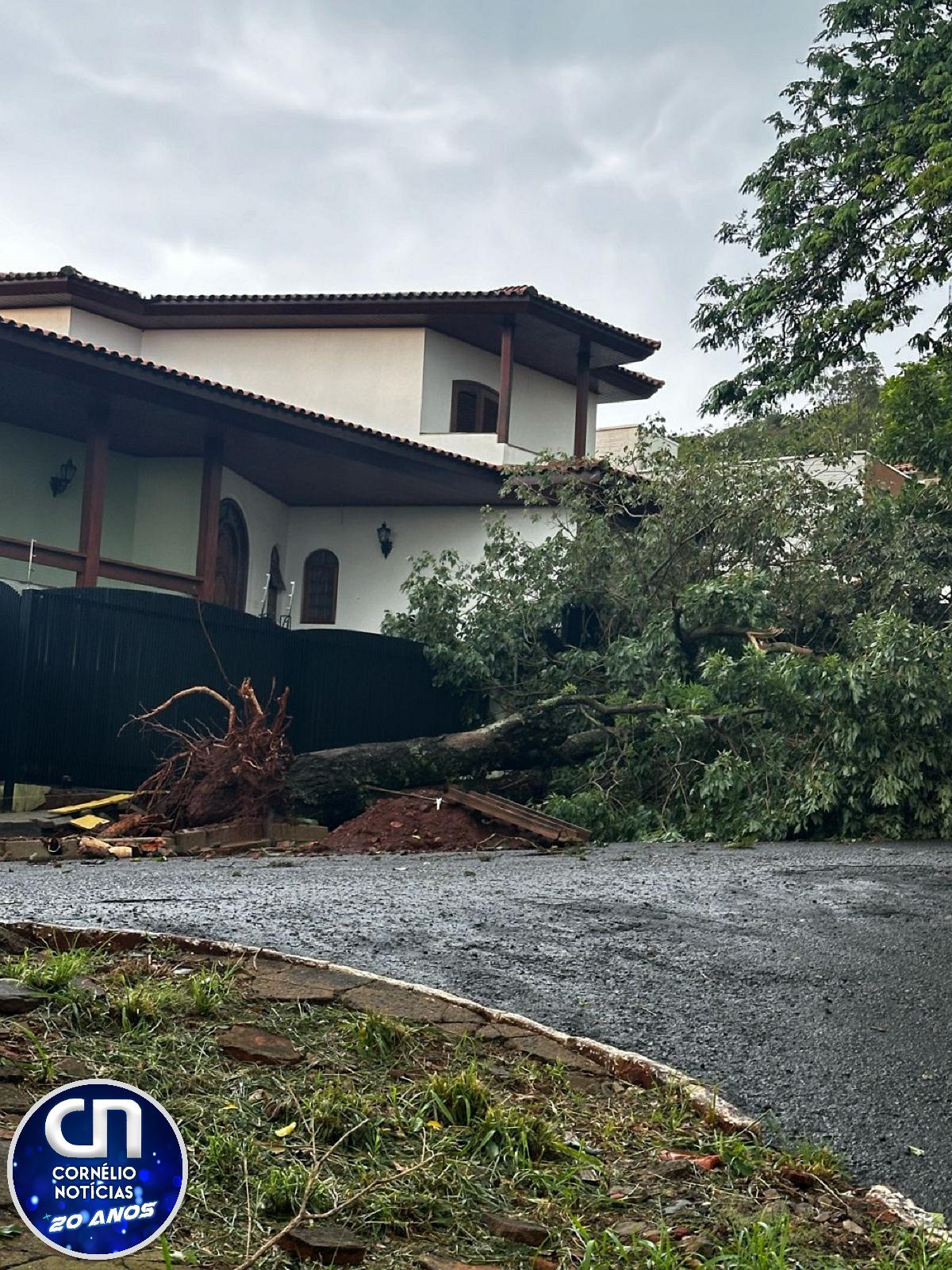 Temporal causa estragos em Santo Antônio da Platina