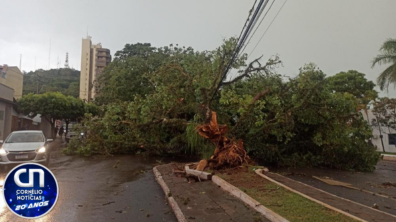 Temporal causa estragos em Santo Antônio da Platina