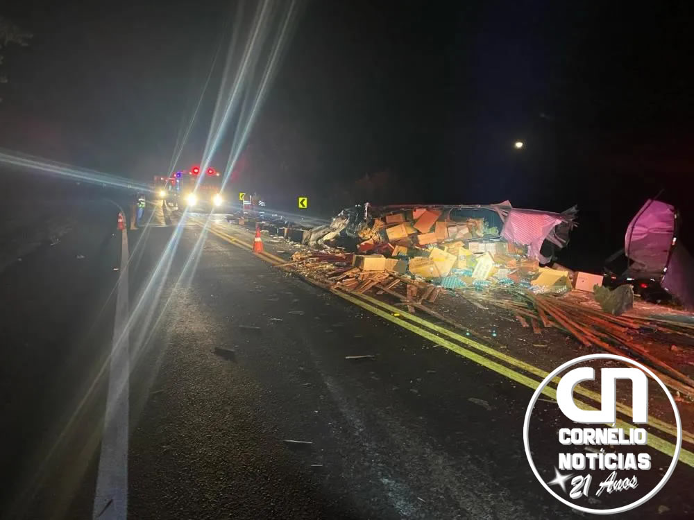 Choque entre caminhões mata motorista em rodovia do Norte Pioneiro