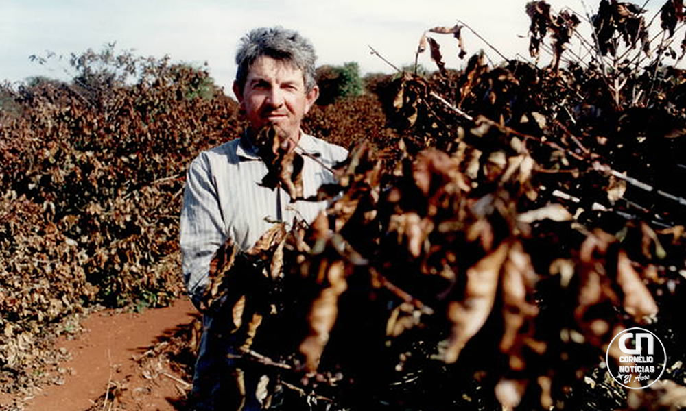 Há 50 anos, 'geada negra' mudou geografia do café no Brasil