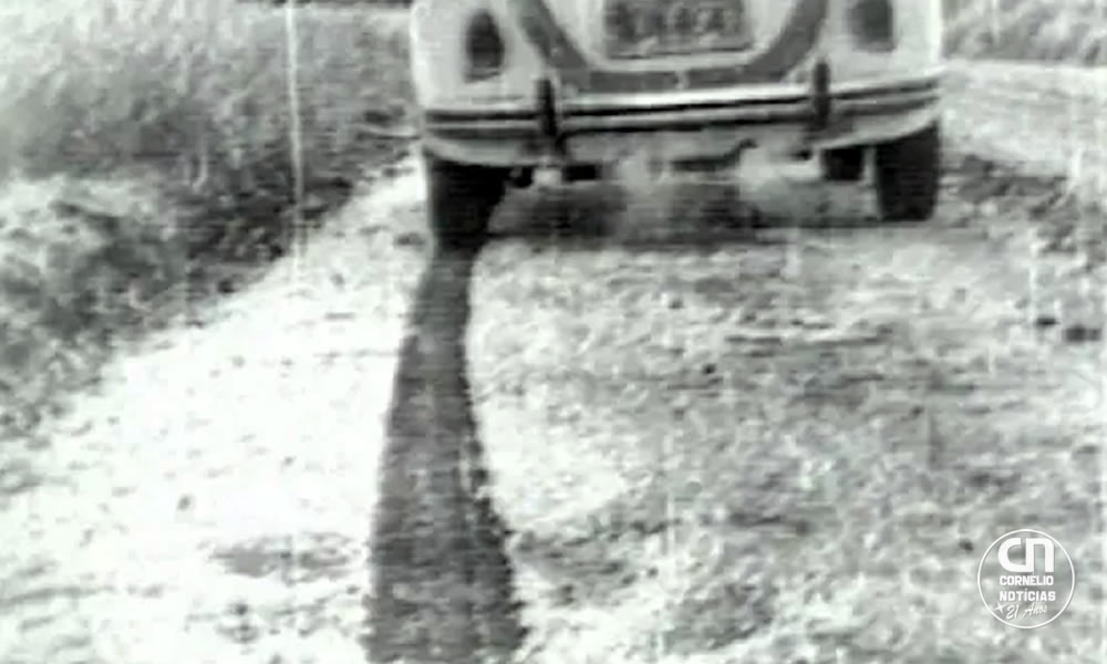 Há 50 anos, 'geada negra' mudou geografia do café no Brasil