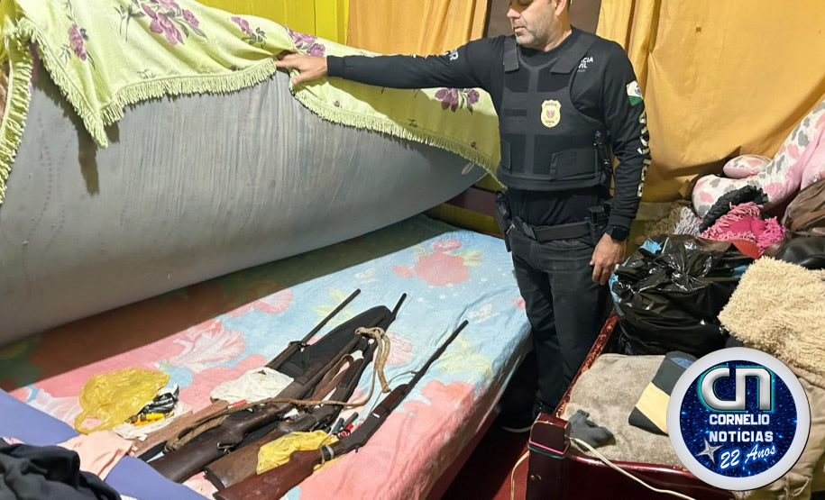 PC encontra armas e aves silvestres durante ação em Cornélio  Procópio