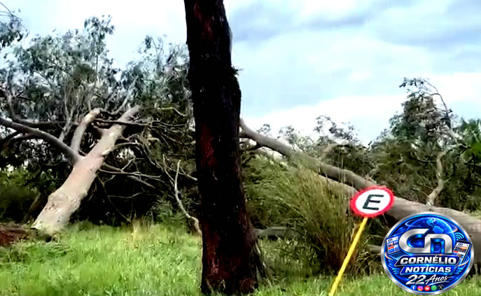 Forte Temporal provoca estragos em Cornélio Procópio e região