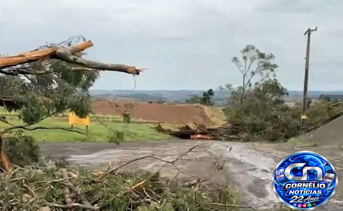 Forte Temporal provoca estragos em Cornélio Procópio e região