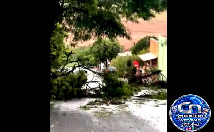 Forte Temporal provoca estragos em Cornélio Procópio e região