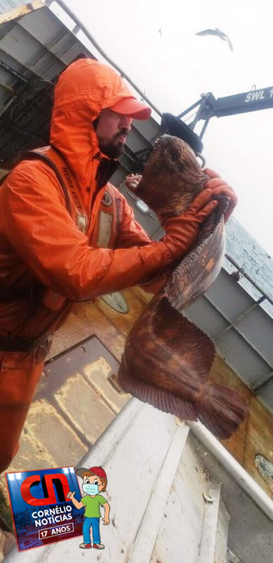 Pescador encontra criatura assustadora nas águas do Alasca e foto viraliza
